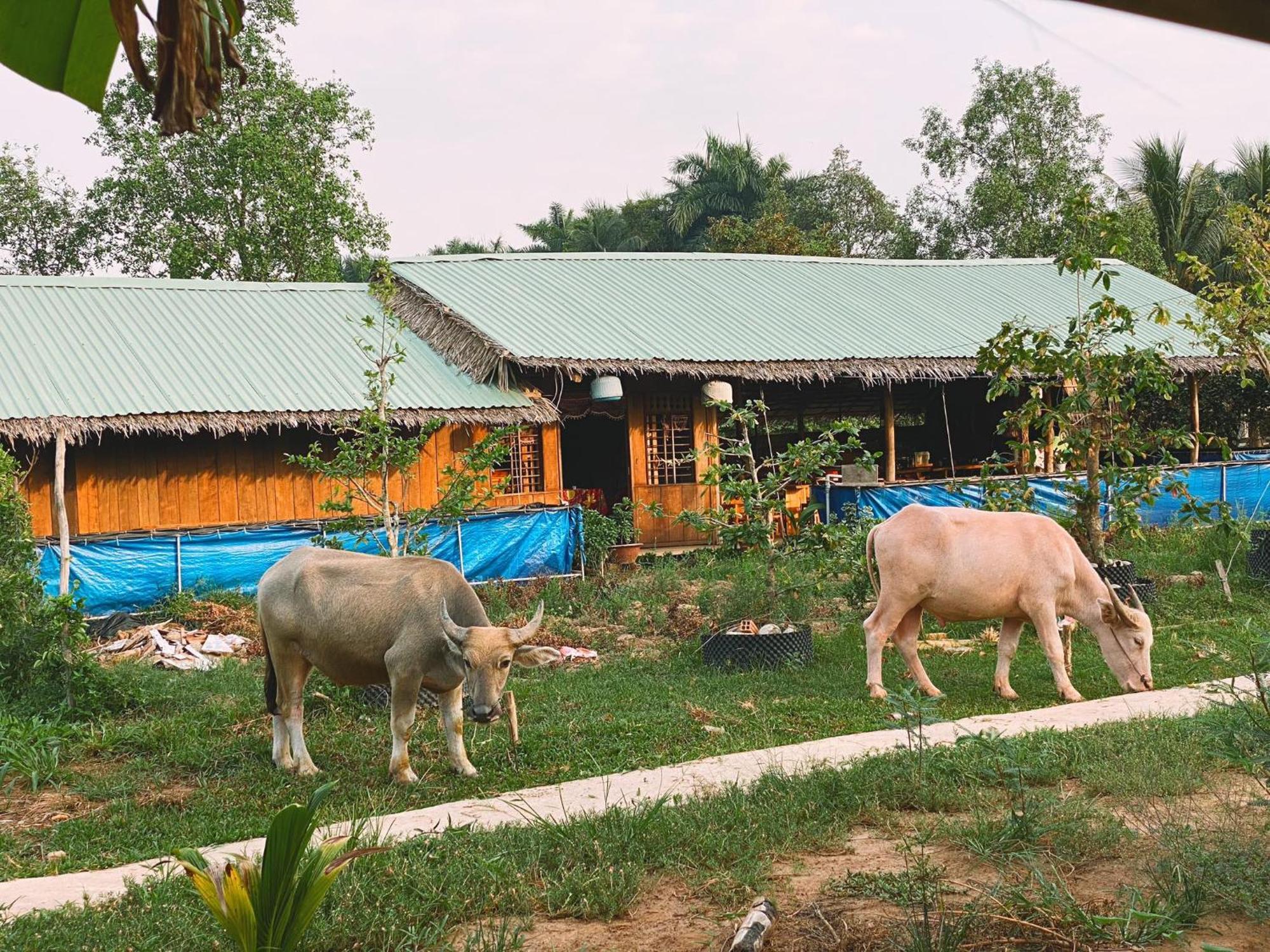 The Local Homestay Con Son Can Tho Exterior photo